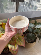 Bows Breakfast Bowl