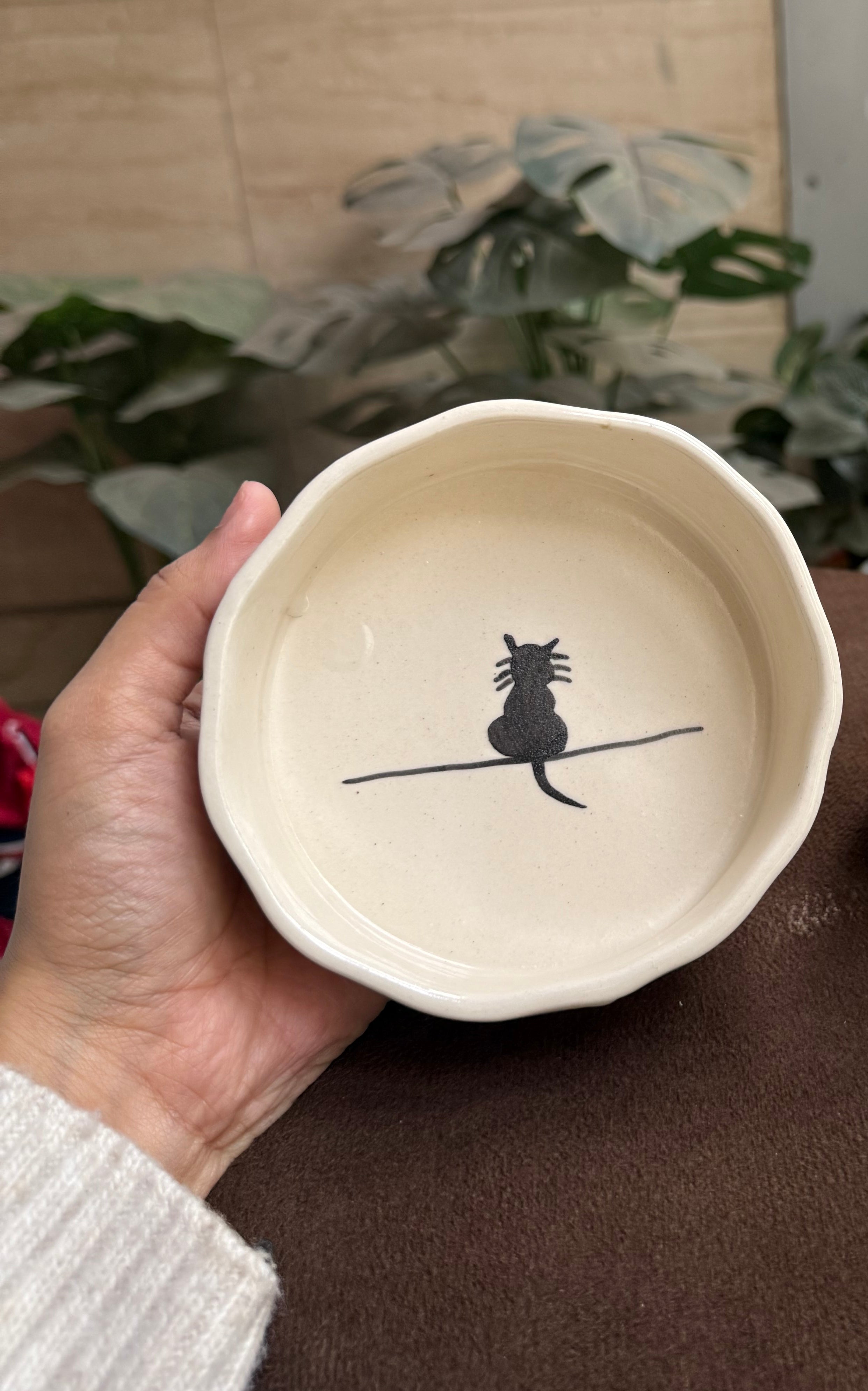 Cat Bowl
