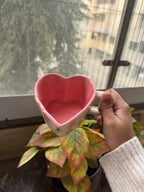 Heart shaped mug