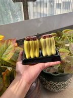 Banana Salt & Pepper Shaker Set 🍌