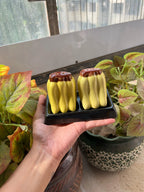 Banana Salt & Pepper Shaker Set 🍌