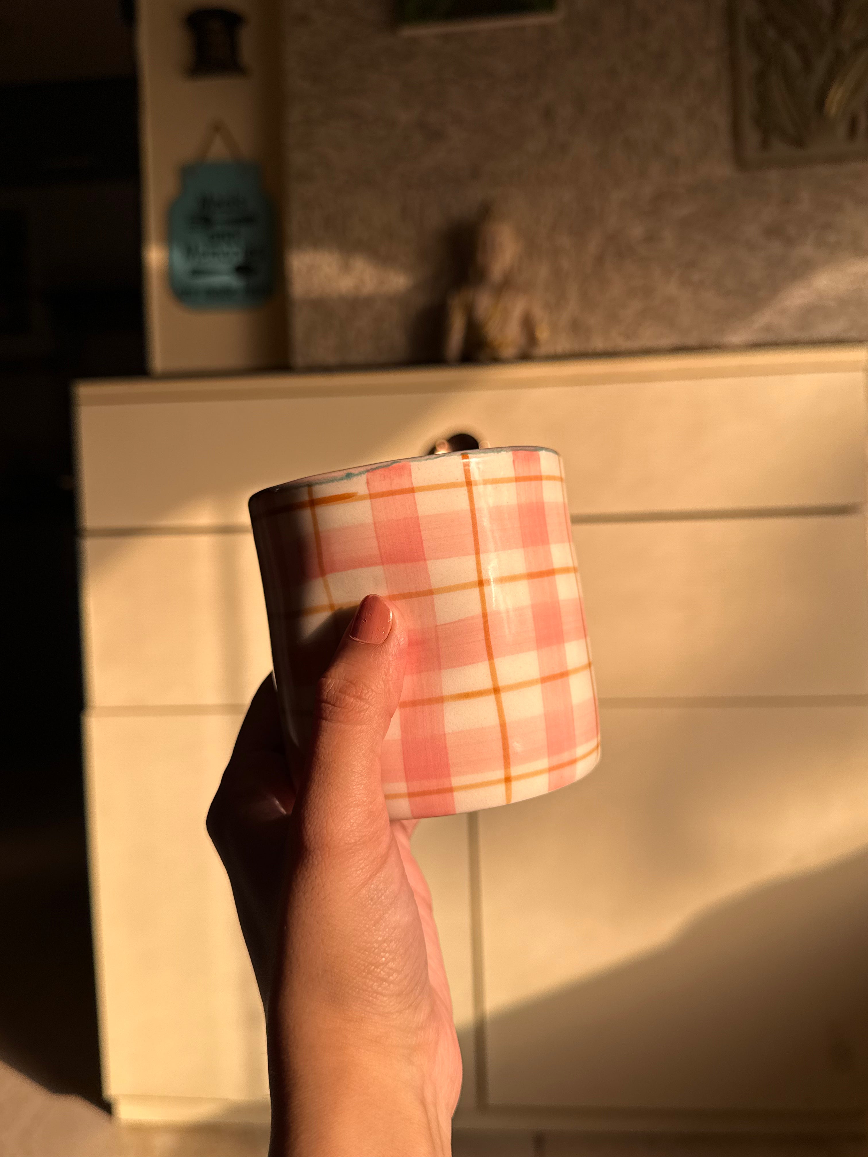 Pink Checks Glasses (Pack of 2) | Beautiful Ceramic Glass