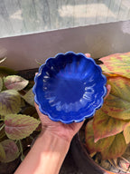 Blue Ice Cream Bowl 🌸 | Perfect for ice cream, desserts & snacks