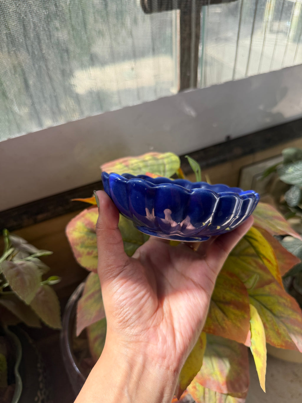 Blue Ice Cream Bowl 🌸 | Perfect for ice cream, desserts & snacks