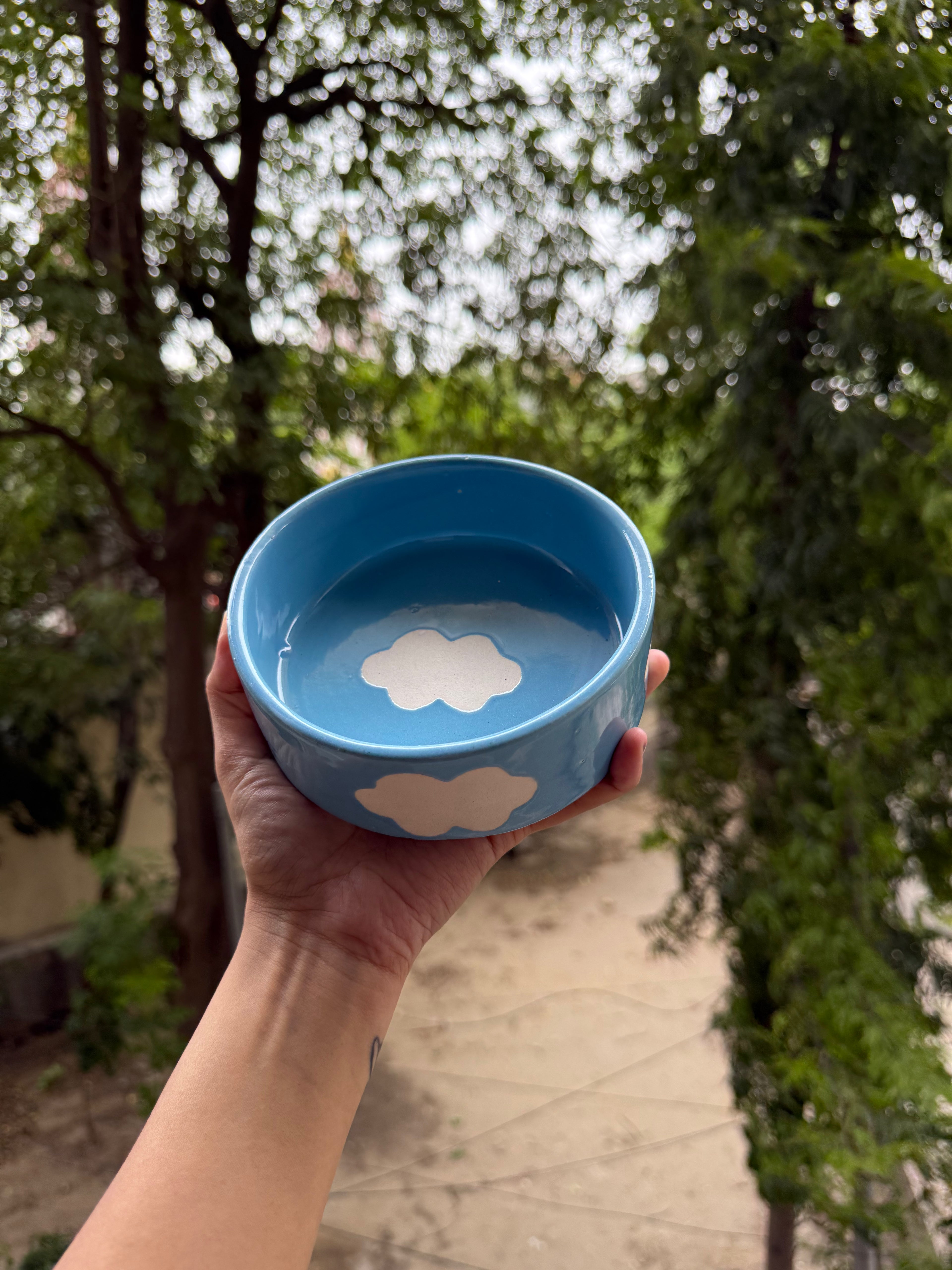 Clouds Breakfast Bowl