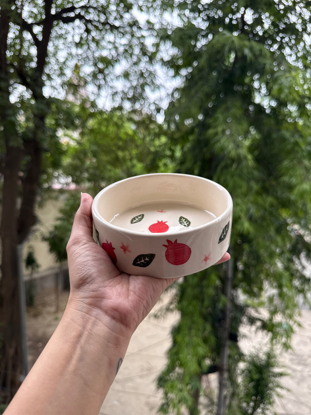 Pomegranate Breakfast Bowl