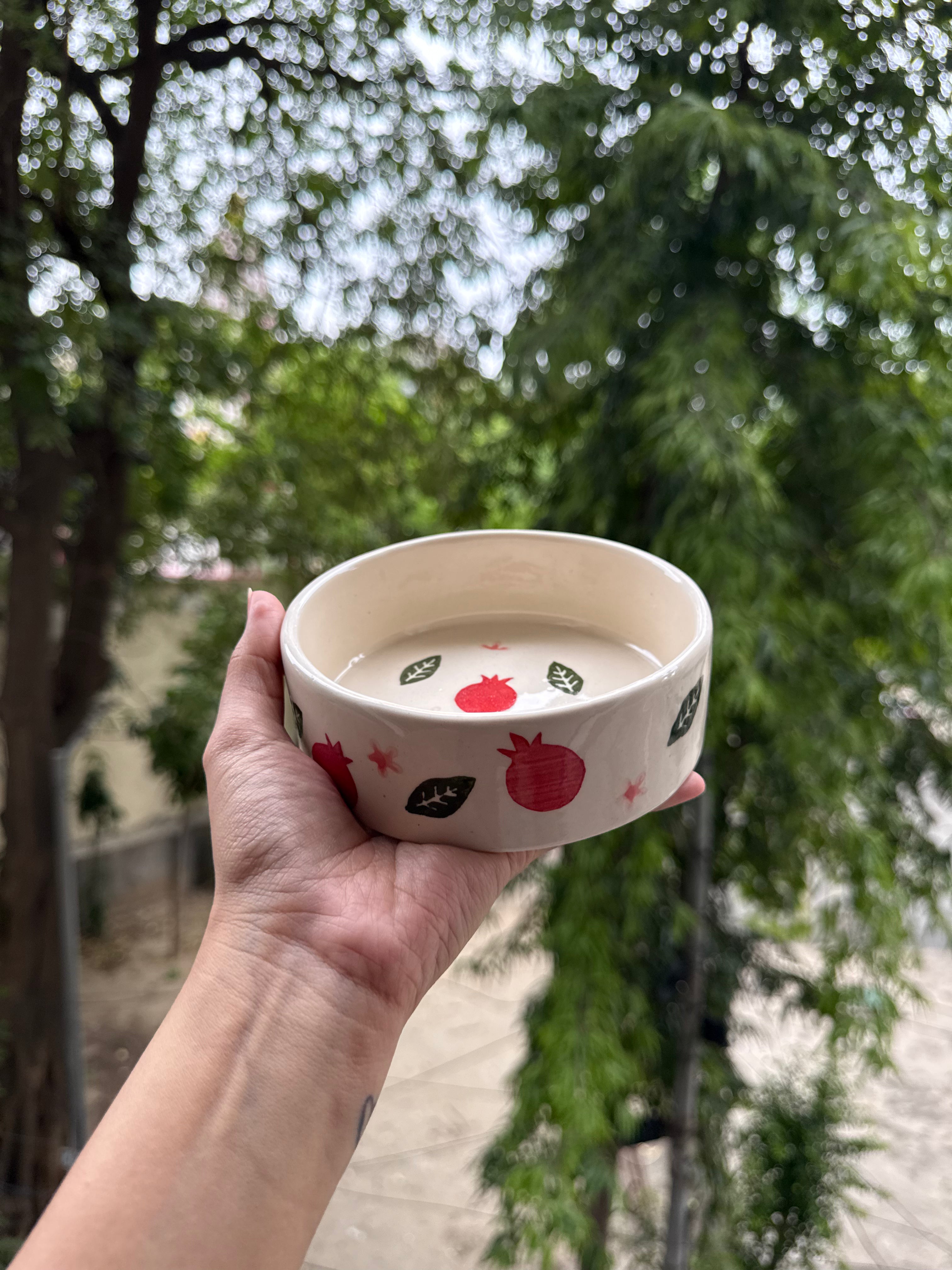 Pomegranate Breakfast Bowl