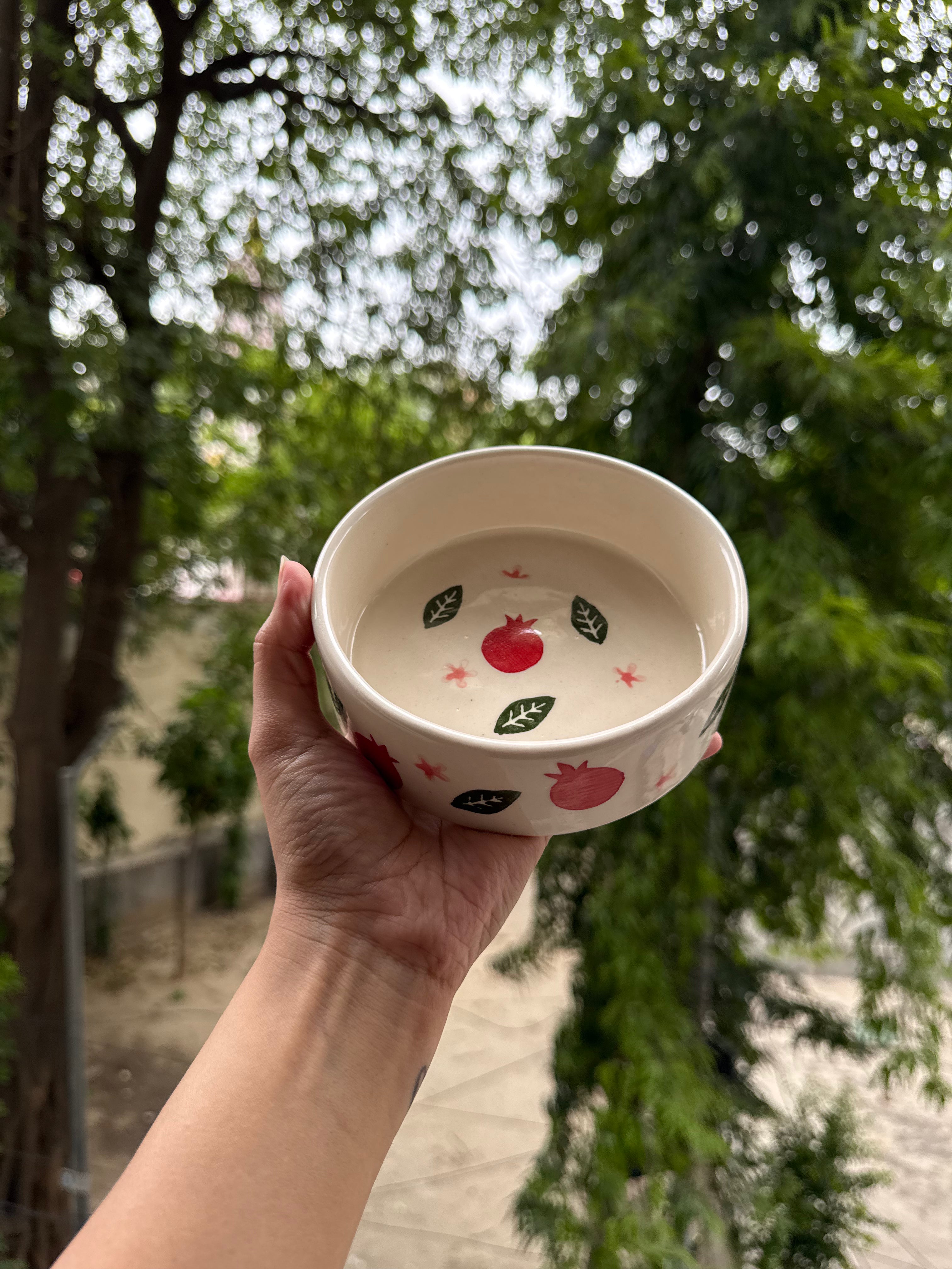 Pomegranate Breakfast Bowl