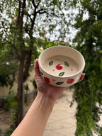 Pomegranate Breakfast Bowl