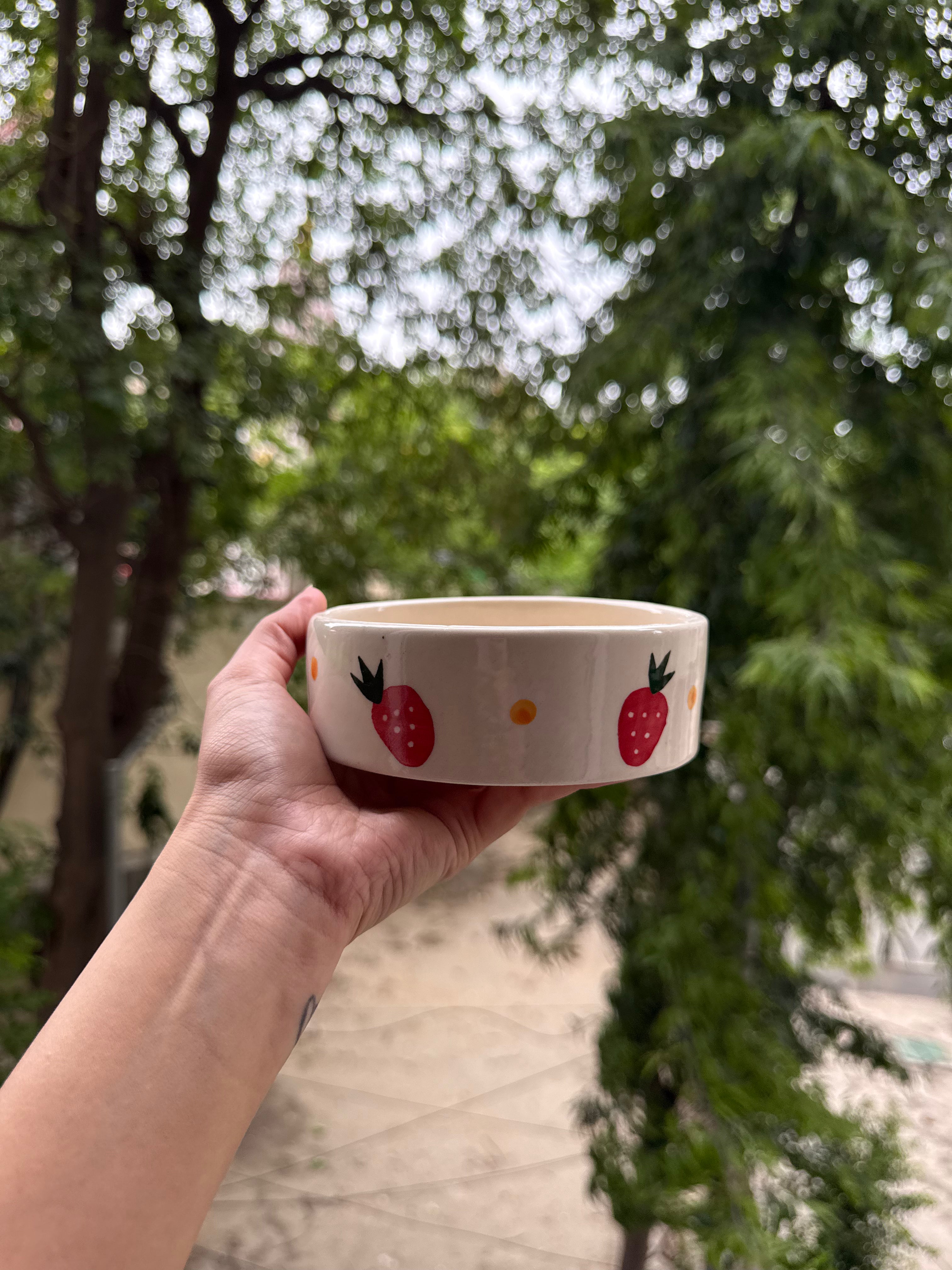 Strawberry Breakfast Bowl