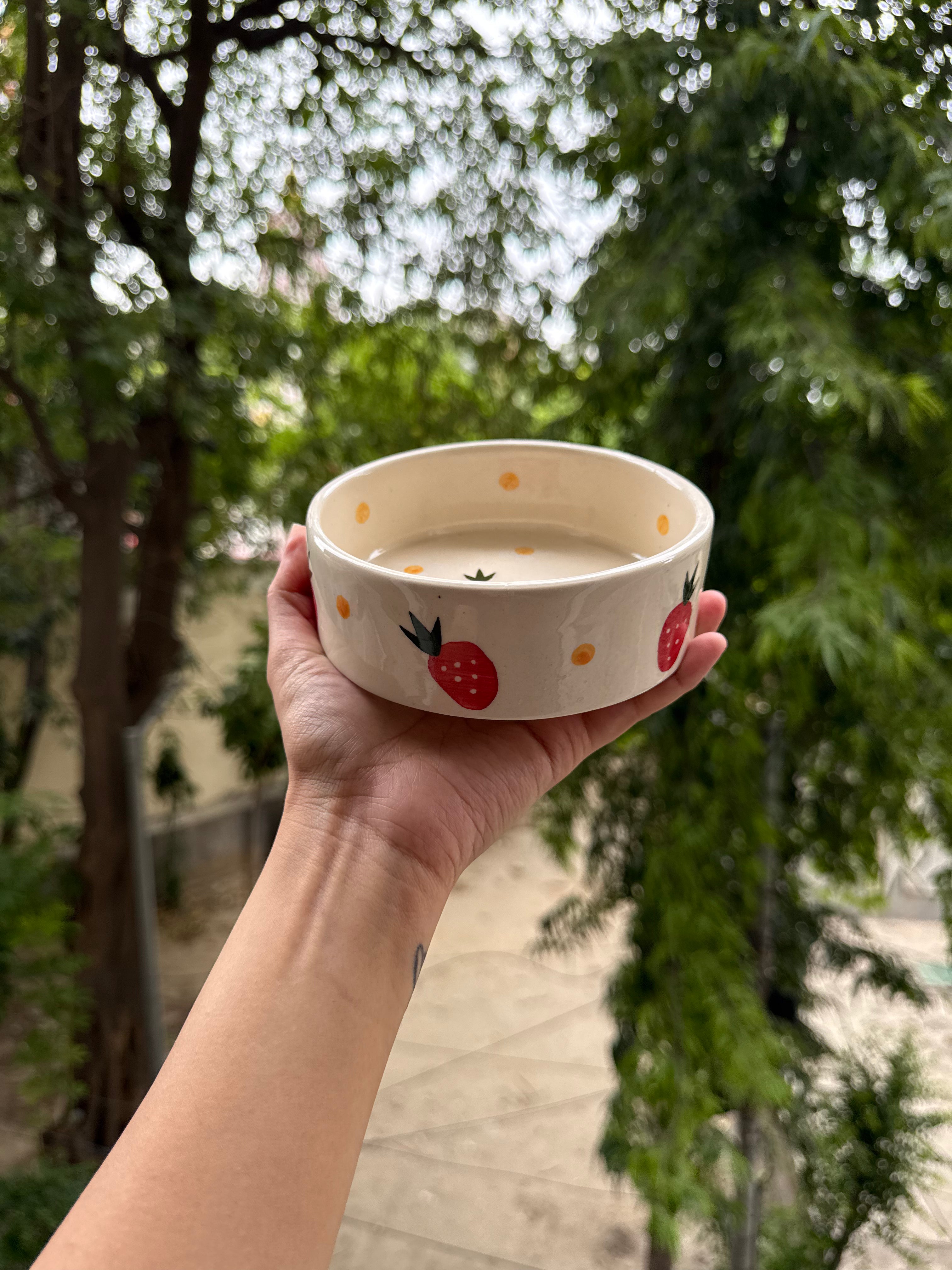 Strawberry Breakfast Bowl