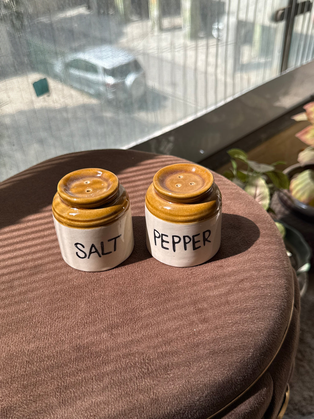 Salt and Pepper Shaker
