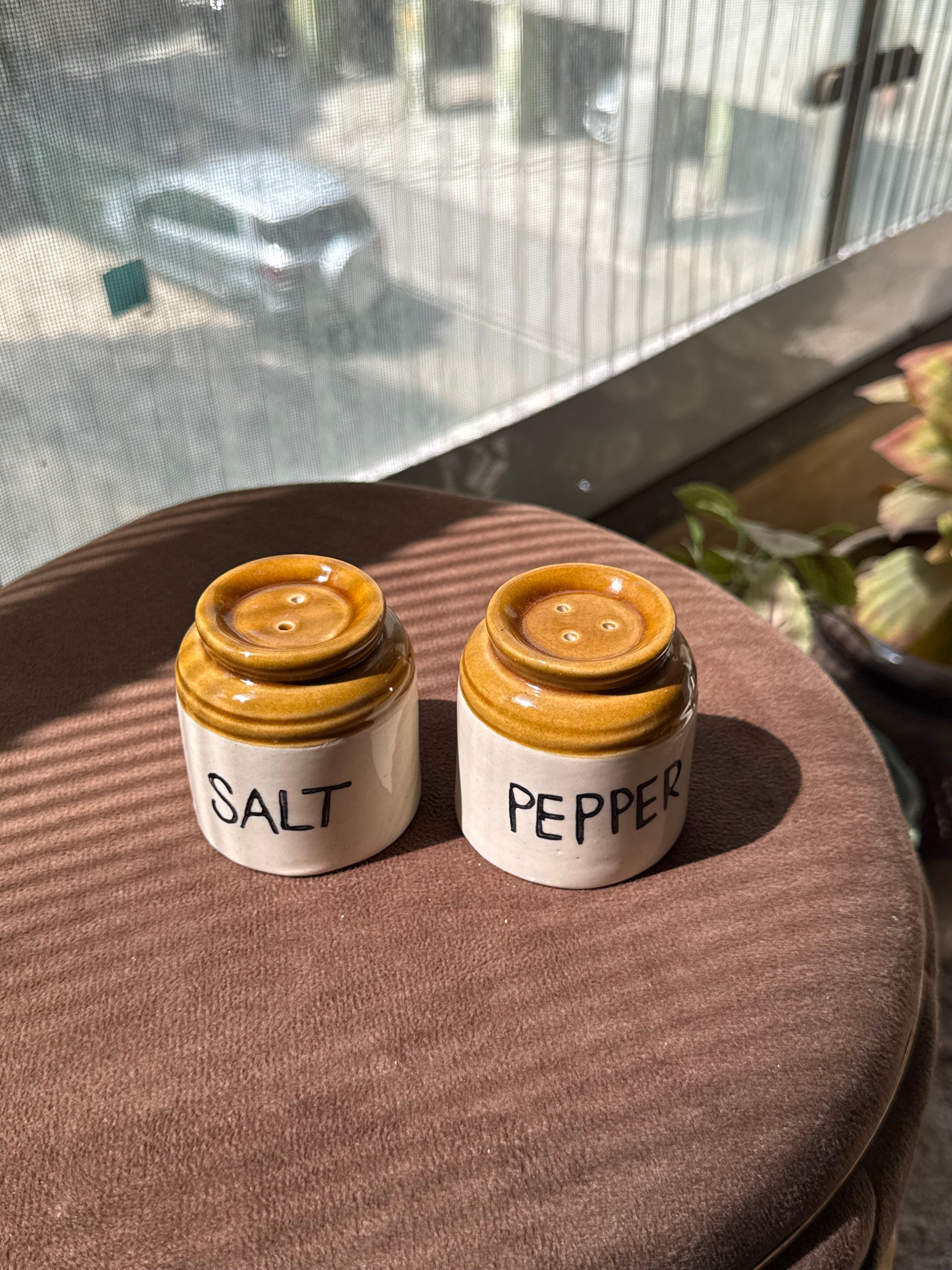 Salt and Pepper Shaker