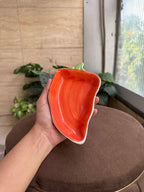 🌶️ Red Chilli Shaped Plate