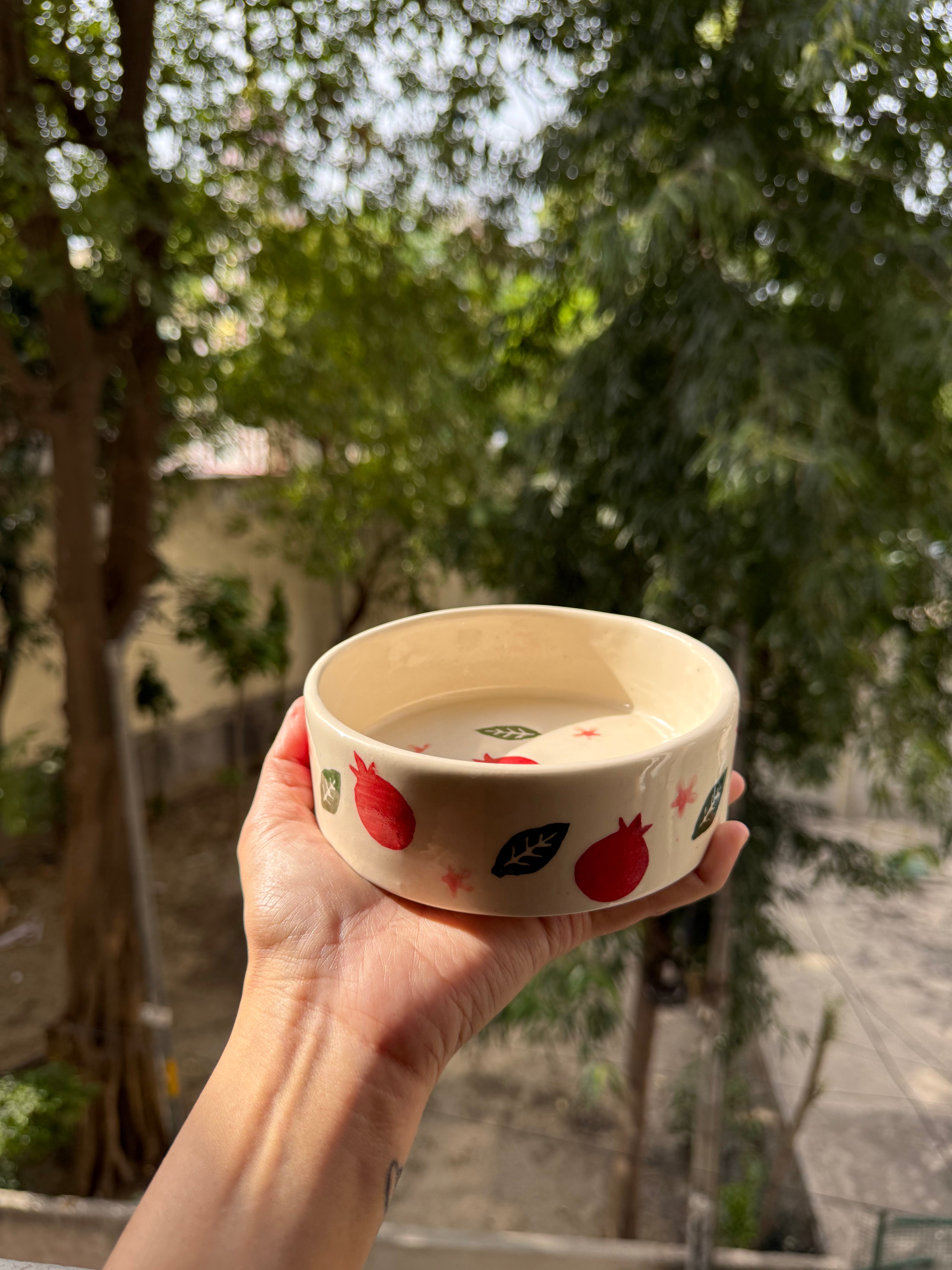Pomegranate Breakfast Bowl