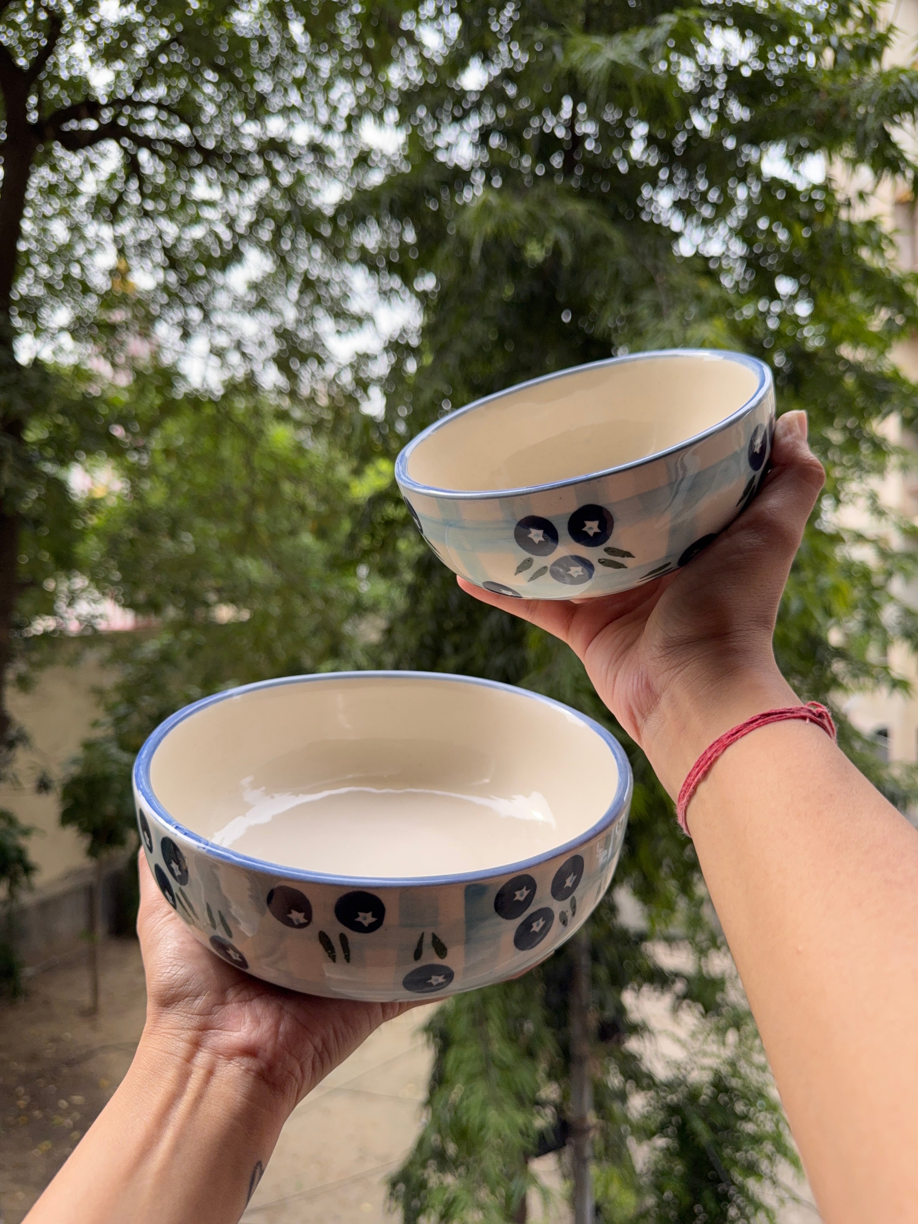 Blueberry Set (Mug + Plate + 2 Bowls)