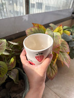 Strawberry Glass | Beautiful Ceramic Glass